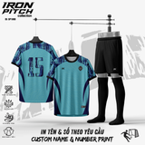 IRON PICH