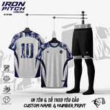 IRON PICH