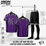 IRON PICH