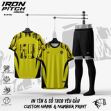 IRON PICH