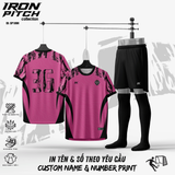 IRON PICH